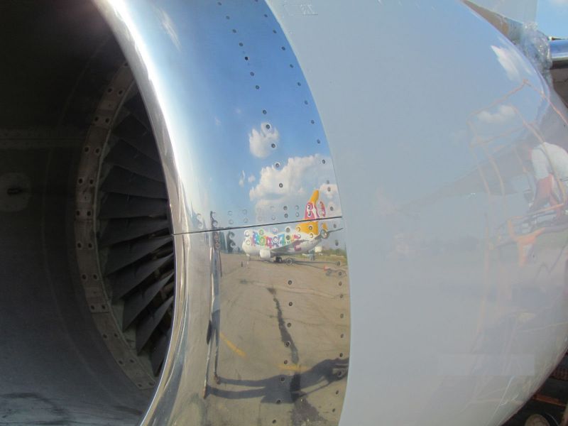 Aquiline International Boeing 737-300 PAX. Engine Cowling